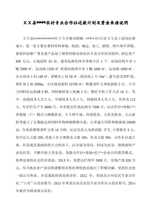 农村专业合作社还款计划及资金来源说明