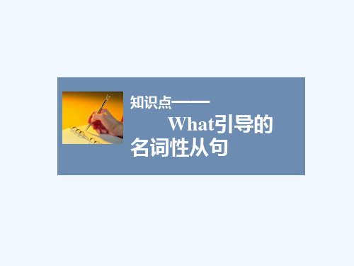 知识点—What引导的名词性从句