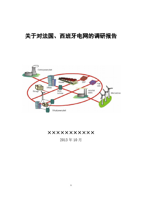 对法国、西班牙电网的调研