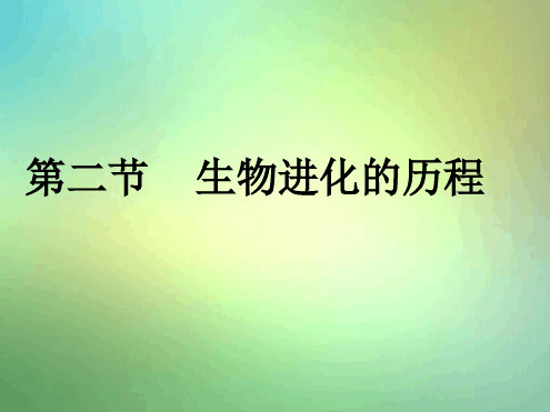 苏教版生物八年级下册生物进化的历程3