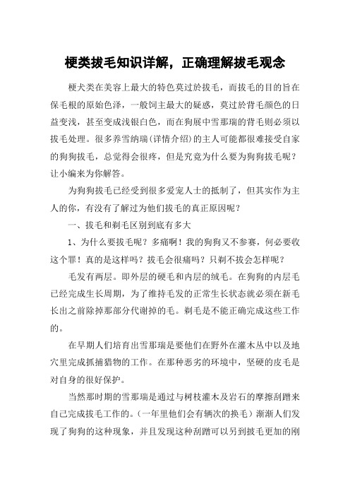 梗类拔毛知识详解,正确理解拔毛观念
