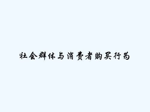 社会群体与消费者购买行为 PPT