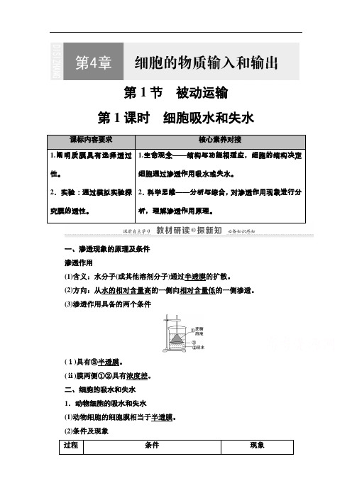 2020-2021学年生物新教材人教必修1学案：第4章第1节第1课时细胞吸水和失水含解析