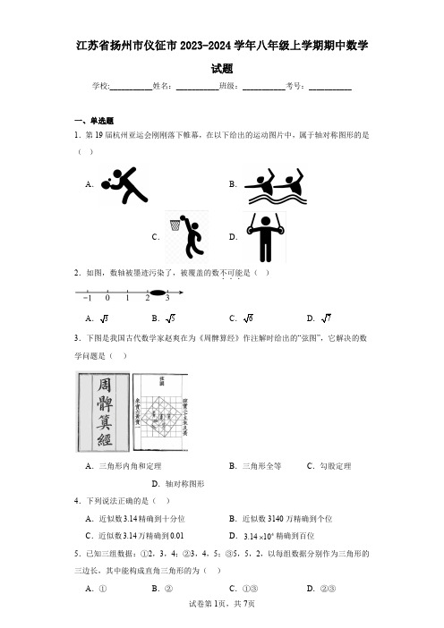 江苏省扬州市仪征市2023-2024学年八年级上学期期中数学试题