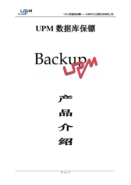 UPM数据库保镖产品介绍