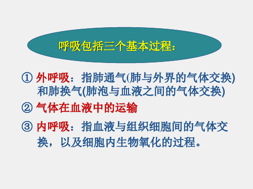 病理生理学课件10呼吸功能不全