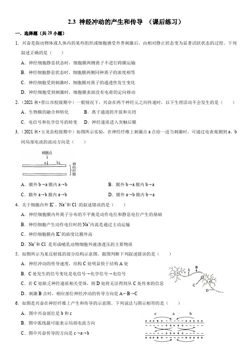 2023-2024学年人教版高二生物上学期同步练习2-3 神经冲动的产生和传导 含详解