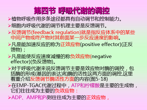 植物生理学_王忠_第五章植物的呼吸作用