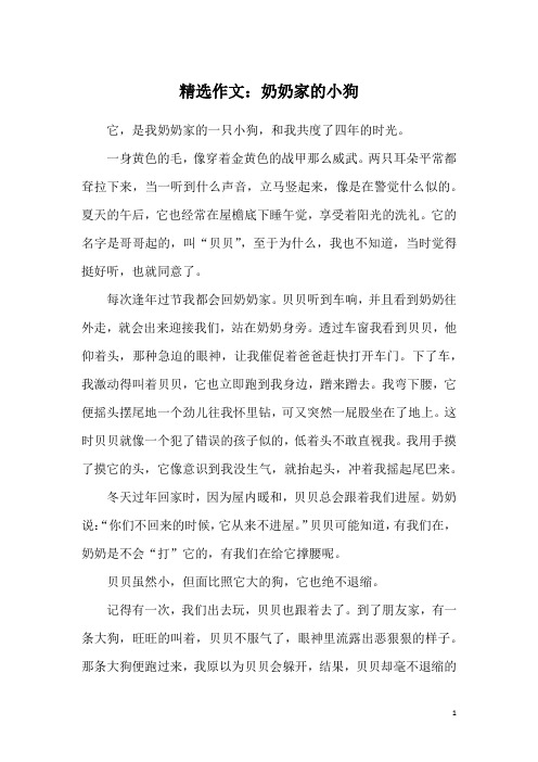 精选作文:奶奶家的小狗