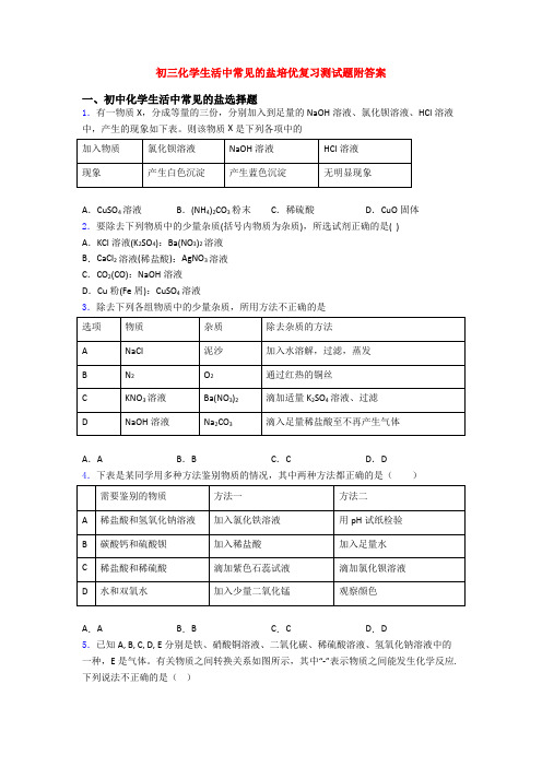 初三化学生活中常见的盐培优复习测试题附答案(1)