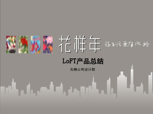 LOFT产品特点总结.pptx