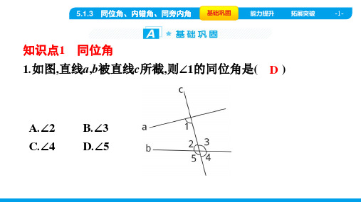 2022年人教版七年级下册数学同步培优第五章相交线与平行线第1节 第3课时同位角、内错角、同旁内角