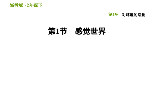 浙教版七年级下册科学课件 第二章感觉世界