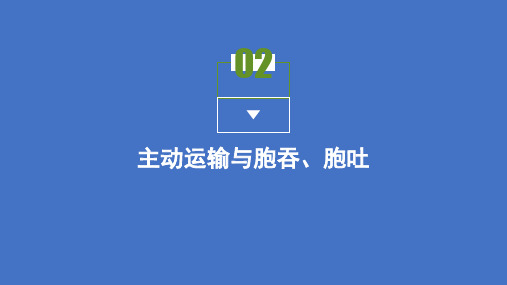 2021高中生物人教版必修第一册课件：第4章第2节 主动运输与胞吞、胞吐 