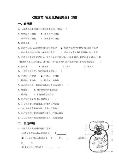 冀少版七年级生物下册 物质的运输路线习题