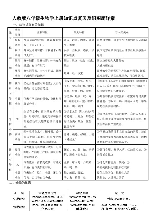 人教版八年级生物学上册知识点复习及识图题详案