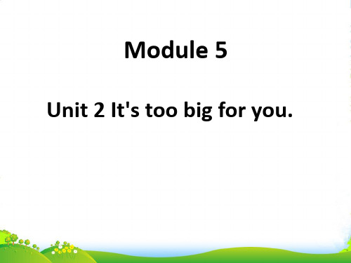 新外研五年级英语下Module 5 Unit 2 It's too big for you 1