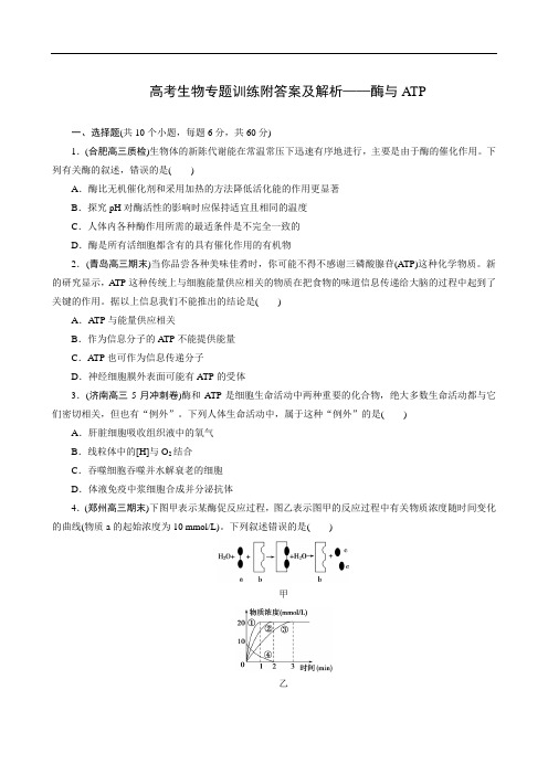 高考生物专题训练附答案及解析——酶与ATP