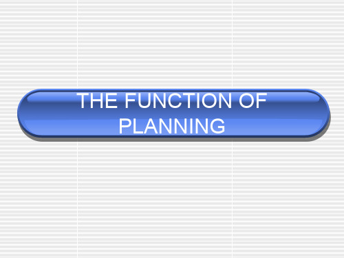 管理学原理英文版——计划planning