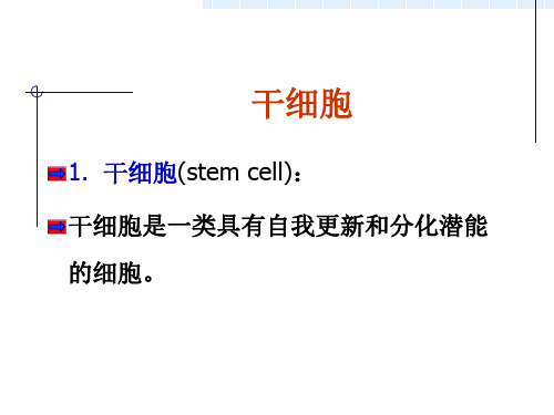 干细胞概述(完整)