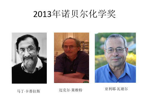 2013年诺贝尔化学奖