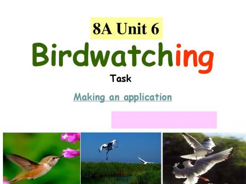 新牛津译林版八年级英语上册《Unit6 Bird watching》(task)2 优质课课件