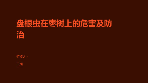 盘根虫在枣树上的危害及防治