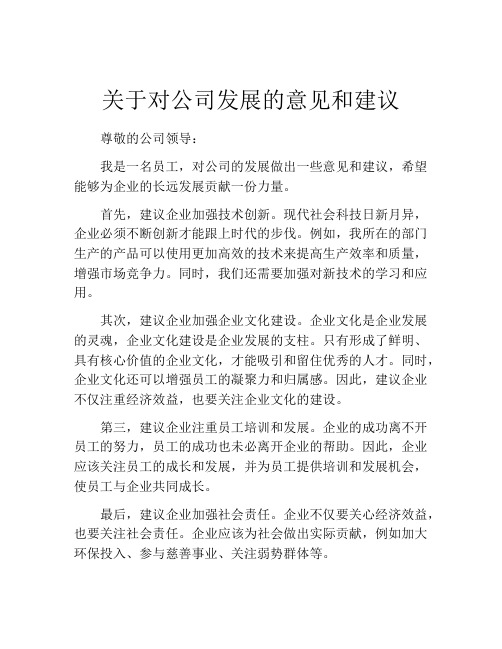 关于对公司发展的意见和建议