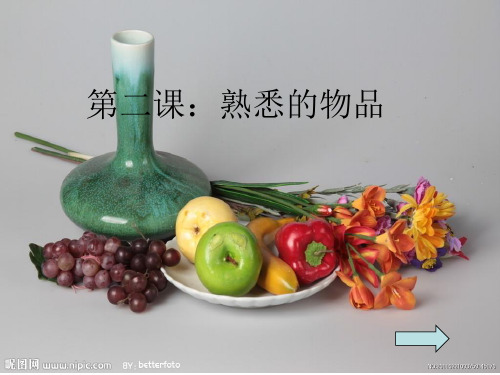 苏少版七年级-熟悉的物品 美术课件