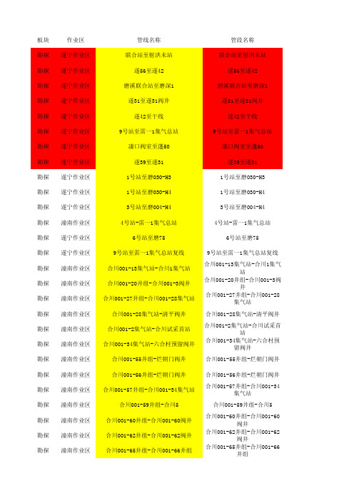 川中管道基础信息表