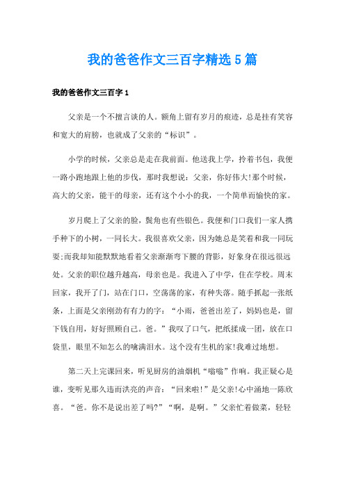 我的爸爸作文三百字精选5篇