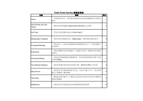 Team_Pulse_Survey_调查结果表及统计图