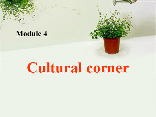 外研版必修一module4Cultural corner PPT课件