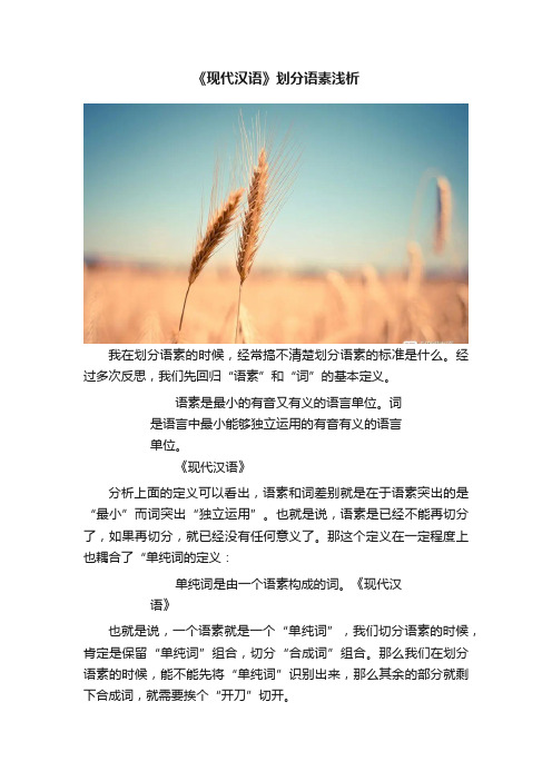 《现代汉语》划分语素浅析