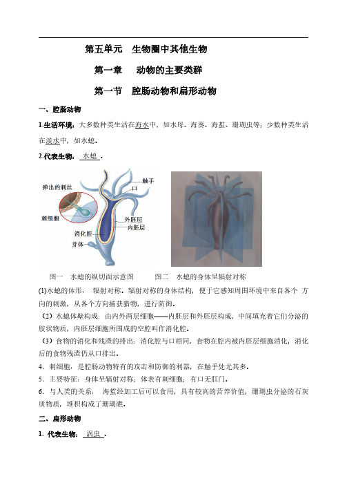 【精编版】人教版初中生物八年级上册复习提纲(图文并茂).pdf