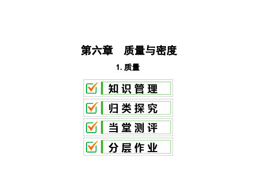 第六章1.质量—2020秋教科版八年级物理上册课件(共20张PPT)