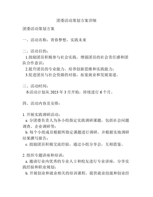 团委活动策划方案详细