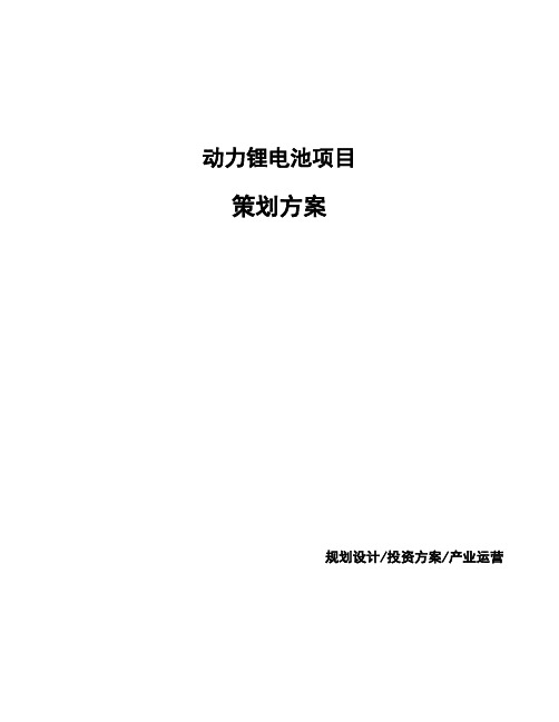 动力锂电池项目策划方案