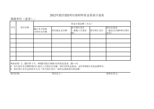 项目资金需求表格式