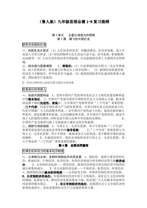 鲁教版九年级思想品德复习提纲第2单元五星红旗我为你骄傲