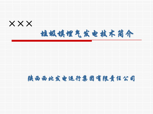 垃圾填埋气发电技术1