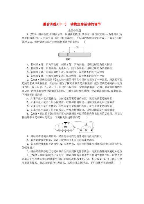 统考版2024高考生物二轮专题复习整合训练11动物生命活动的调节