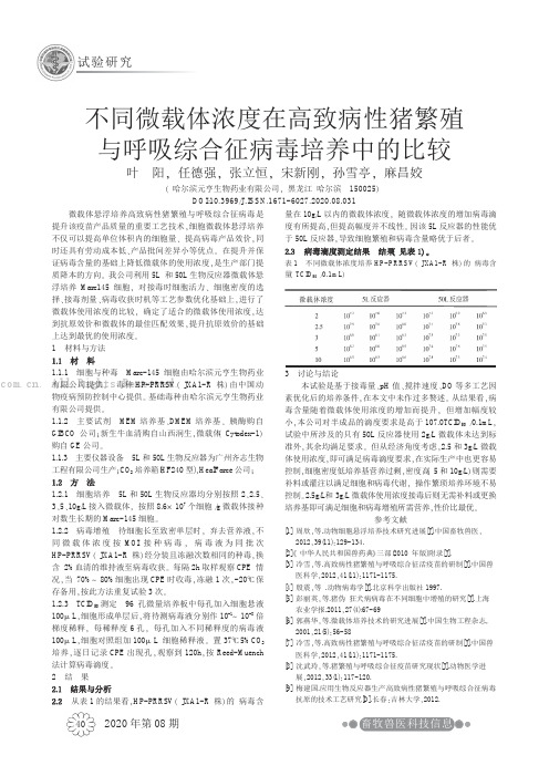 不同微载体浓度在高致病性猪繁殖与呼吸综合征病毒培养中的比较