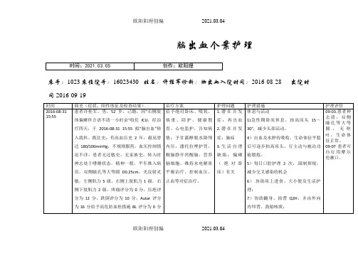 脑出血个案护理新之欧阳理创编