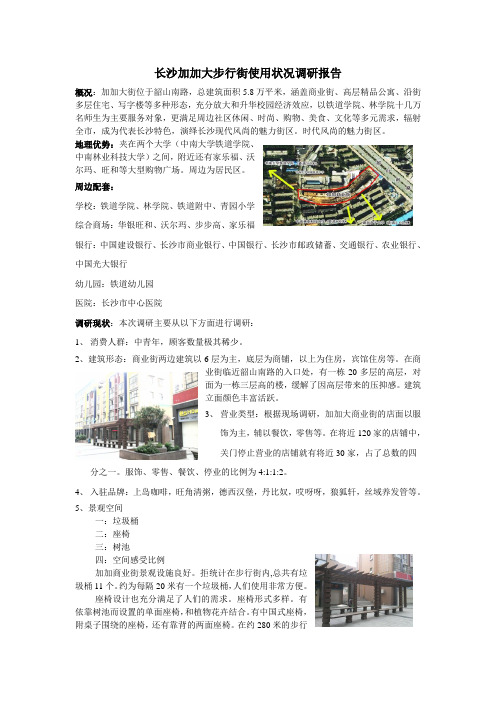 长沙加加大商业街使用情况调研报告