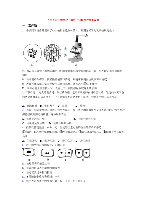 2023徐州市生物七年级上册期末试卷含答案