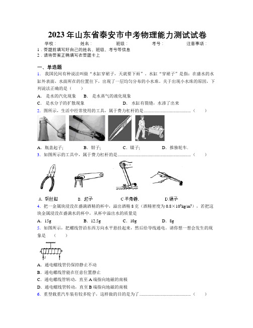 2023年山东省泰安市中考物理能力测试试卷及解析