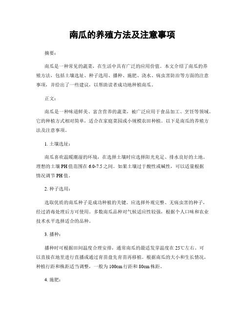 南瓜的养殖方法及注意事项