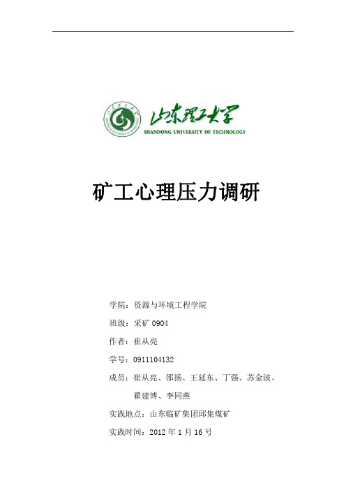 山东理工大学2011年寒假社会实践调研报告