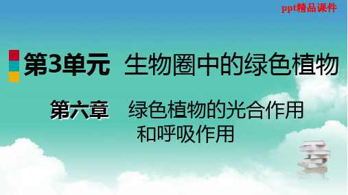 七年级生物上册第三单元第六章第一节植物光合作用的发现课件新版苏教版